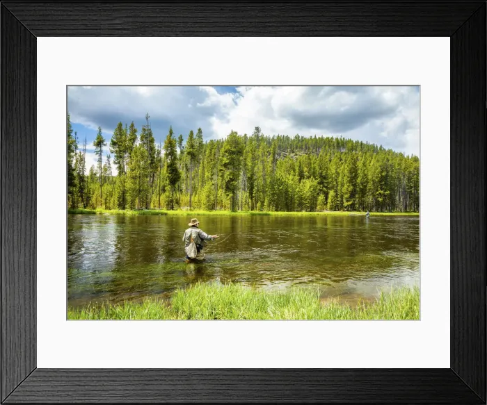 Framed Print : Fly fishing, Yellowstone National Park, USA Framed Print : Fly fishing, Yellowstone National Park, USA