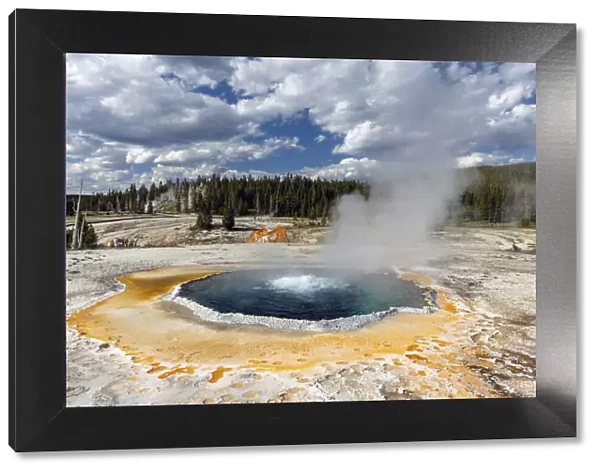 Crested Pool, Upper Geyser Basin, Yellowstone National Park, Wyoming, USA