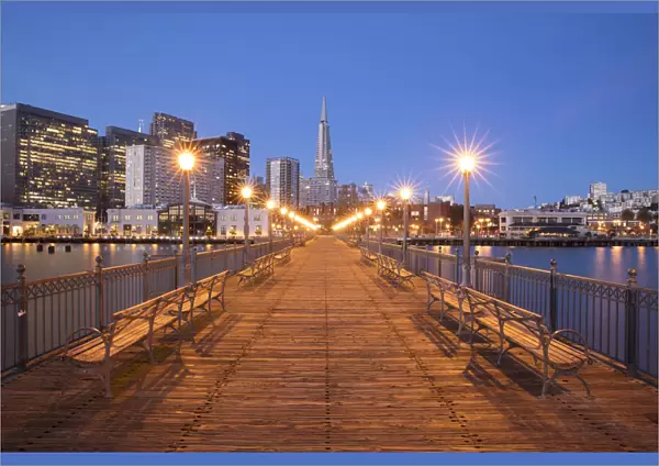 The Transamerica Pyramid and cityscape, San Francisco, California, USA