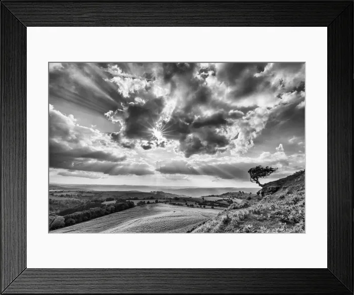 Framed Print : Hawthorn Tree (Crataegus monogyna), Gospel Pass, Brecon Beacons, Powys, Wales Framed Print : Hawthorn Tree (Crataegus monogyna), Gospel Pass, Brecon Beacons, Powys, Wales