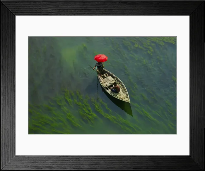 Framed Print : A boat man crossing river with full of algae, Sirajganj, Bangladesh Framed Print : A boat man crossing river with full of algae, Sirajganj, Bangladesh