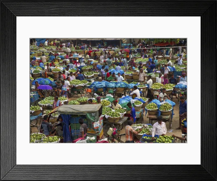 Framed Print : Huge baskets of mangoes are assembled one of the largest markets at Kansat Framed Print : Huge baskets of mangoes are assembled one of the largest markets at Kansat