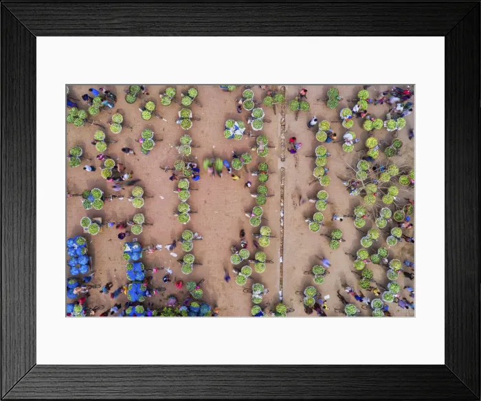 Framed Print : Huge baskets of mangoes are assembled one of the largest markets at Kansat
