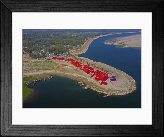 Framed Print : Woman picking red chilies, Bogura, Bangladesh Framed Print : Woman picking red chilies, Bogura, Bangladesh