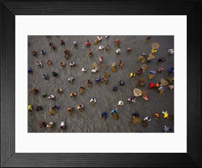 Framed Print : Hundreds of villagers, fishermen take part Traditional fishing festival, Pabna Framed Print : Hundreds of villagers, fishermen take part Traditional fishing festival, Pabna