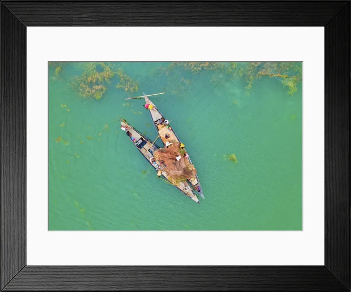 Framed Print : Fishing in the river, Sariakandi, Bogura, Bangladesh Framed Print : Fishing in the river, Sariakandi, Bogura, Bangladesh