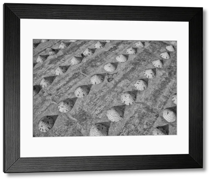 Framed Print : Children weave in and out of scores of giant cones as they roll bike tyres around a rice Framed Print : Children weave in and out of scores of giant cones as they roll bike tyres around a rice
