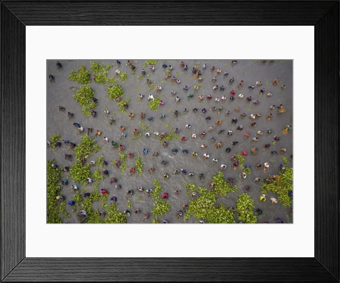 Framed Print : Hundreds of villagers, fishermen take part Traditional fishing festival, Pabna