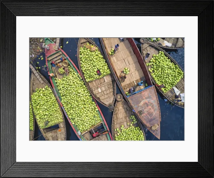 Framed Print : Workers unload watermelons from the boats using big baskets, Sadarghat, Dhaka, Bangladesh Framed Print : Workers unload watermelons from the boats using big baskets, Sadarghat, Dhaka, Bangladesh