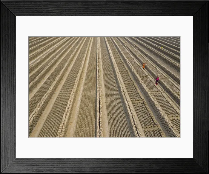 Framed Print : Brick kilns are one of the main cause of climate change, Dhaka, Bangladesh Framed Print : Brick kilns are one of the main cause of climate change, Dhaka, Bangladesh