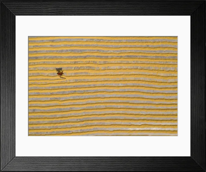 Framed Print : Millions of grains of rice are laid out to dry at a mill as workers brush them with Framed Print : Millions of grains of rice are laid out to dry at a mill as workers brush them with