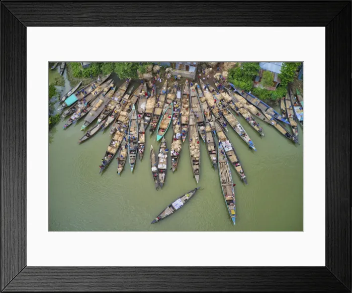 Framed Print : Carrying jutes on boats for selling market, Manikganj, Bangladesh Framed Print : Carrying jutes on boats for selling market, Manikganj, Bangladesh