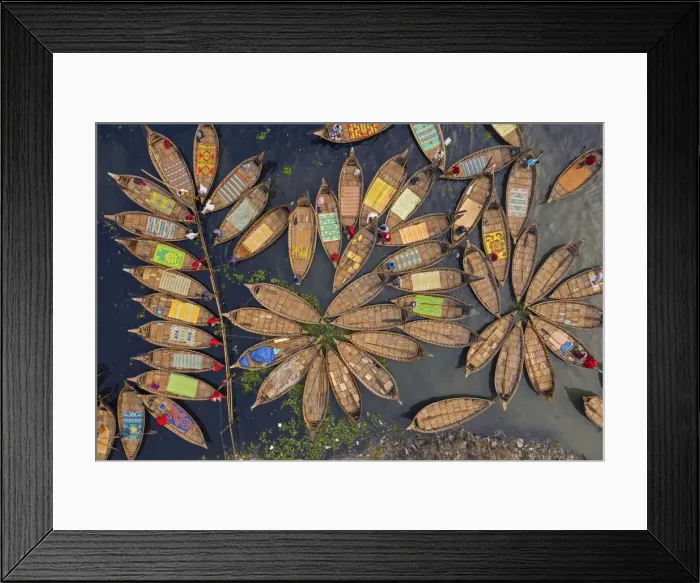 Framed Print : Boats shape like petals of a flower, Dhaka, Bangladesh Framed Print : Boats shape like petals of a flower, Dhaka, Bangladesh
