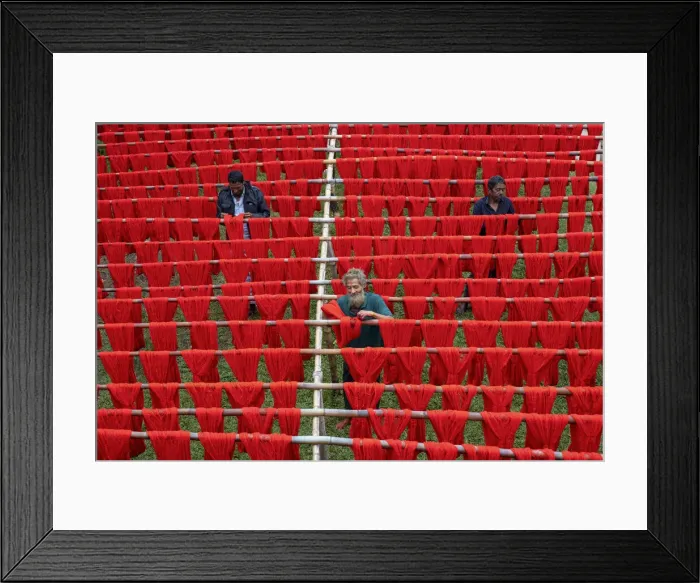 Framed Print : Colorful thread drying under sunlight, Narayanganj, Bangladesh Framed Print : Colorful thread drying under sunlight, Narayanganj, Bangladesh