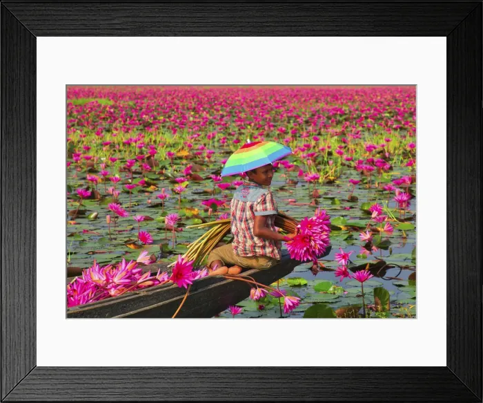 Framed Print : Canal of water lily, Satla, Barisal, Bangladesh Framed Print : Canal of water lily, Satla, Barisal, Bangladesh