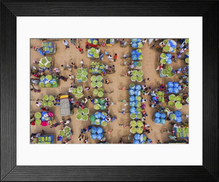 Framed Print : Huge baskets of mangoes are assembled one of the largest markets at Kansat Framed Print : Huge baskets of mangoes are assembled one of the largest markets at Kansat