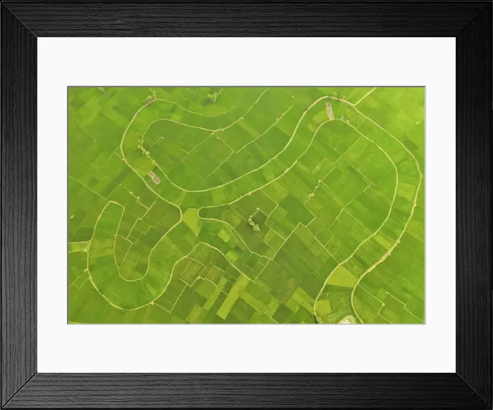 Framed Print : Paddy field, Bogura, Bangladesh Framed Print : Paddy field, Bogura, Bangladesh