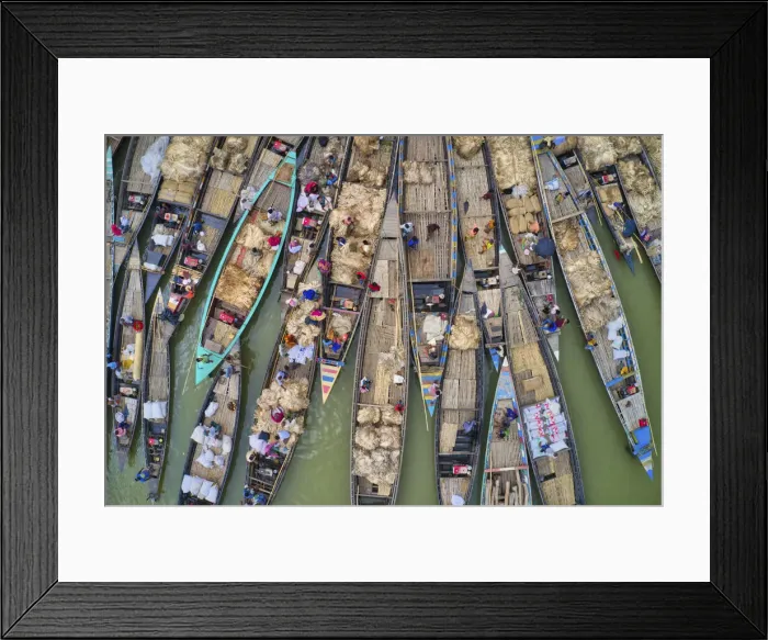 Framed Print : Carrying jutes on boats for selling market, Manikganj, Bangladesh