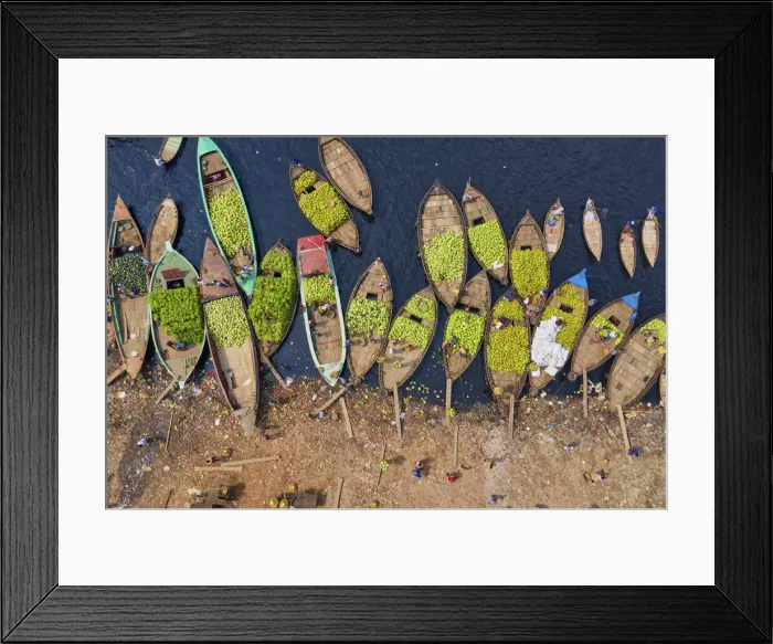Framed Print : Workers unload watermelons from the boats using big baskets, Sadarghat, Dhaka, Bangladesh Framed Print : Workers unload watermelons from the boats using big baskets, Sadarghat, Dhaka, Bangladesh