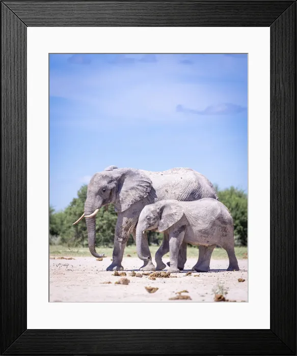 Framed Print : Elephant mother and calf, Nxai Pan National Park, Botswana Framed Print : Elephant mother and calf, Nxai Pan National Park, Botswana
