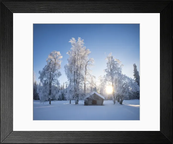 Framed Print : Rays of light from the snowy forest, Norrbotten County, Lapland, Sweden, Europe Framed Print : Rays of light from the snowy forest, Norrbotten County, Lapland, Sweden, Europe