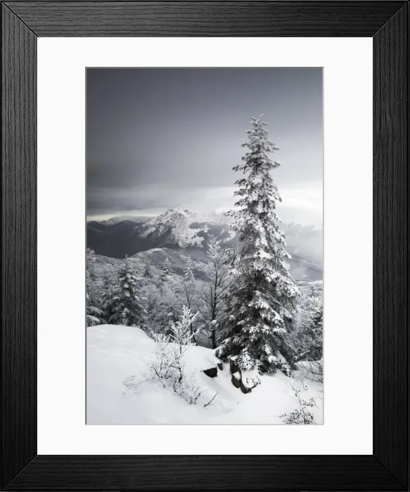 Framed Print : Cerreto Laghi, Tuscan-Emilian apennine national park, municipality of Ventasso Framed Print : Cerreto Laghi, Tuscan-Emilian apennine national park, municipality of Ventasso