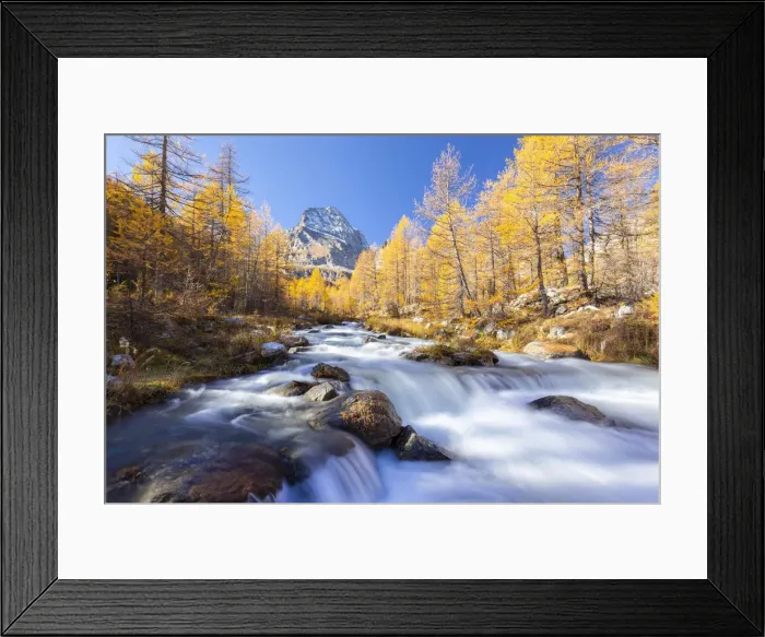Framed Print : Autumnal view of the foliage and colours around the river Cairasca with the Monte Leone Framed Print : Autumnal view of the foliage and colours around the river Cairasca with the Monte Leone