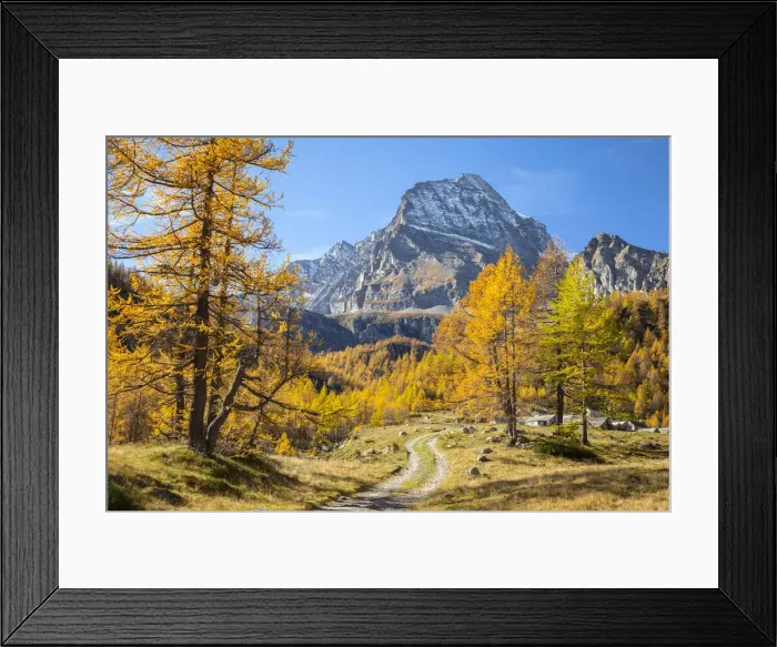 Framed Print : Autumnal view of the road leading to the small mountain village of Cianciavero Framed Print : Autumnal view of the road leading to the small mountain village of Cianciavero