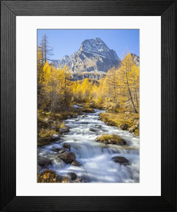 Framed Print : Autumnal view of the foliage and colours around the river Cairasca with the Monte Leone Framed Print : Autumnal view of the foliage and colours around the river Cairasca with the Monte Leone