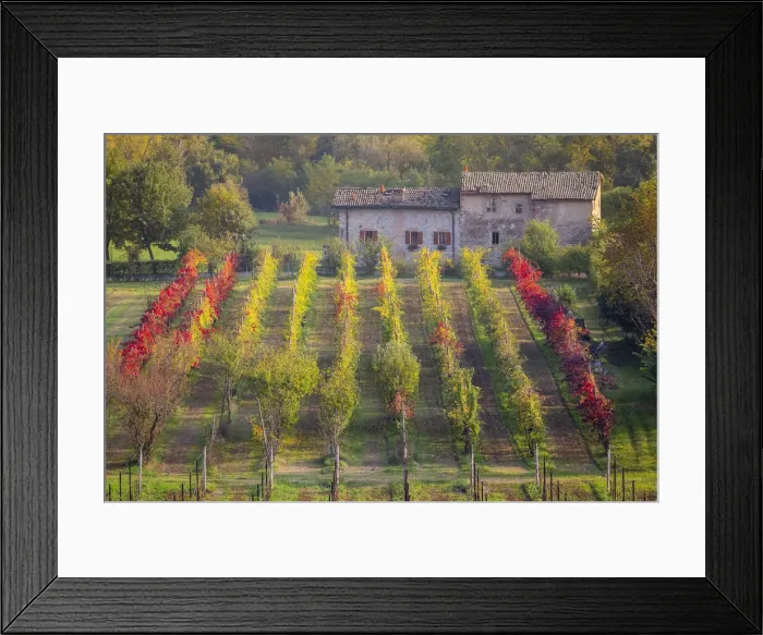 Framed Print : Autumnal view of the countryside and vineyards near Levizzano Rangone Framed Print : Autumnal view of the countryside and vineyards near Levizzano Rangone
