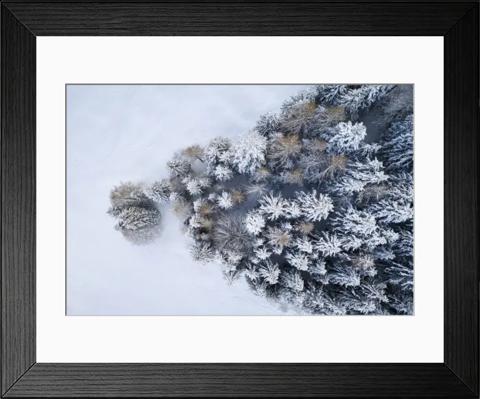 Framed Print : Aerial view of a group of trees covered in snow near the Presolana Pass after a snowfall