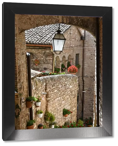 Spello, city of flowers, typical old stone village, Umbria, Italy, Europe