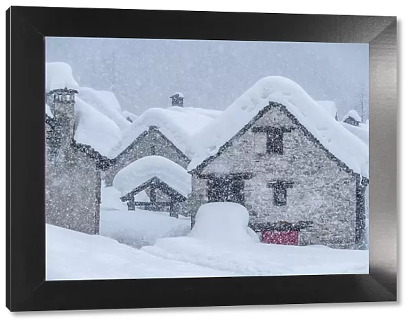 Alpe Devero covered with snow during heavy snowfall, Devero Valley, piedmont, Italy