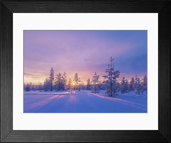 Framed Print : Europe, Lapland, Finland: sunset on the woods in Rovaniemi area Framed Print : Europe, Lapland, Finland: sunset on the woods in Rovaniemi area