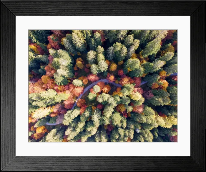 Framed Print : Aerial view of a colorful forest in Autumn season Brenta valley in Madonna di Campiglio Framed Print : Aerial view of a colorful forest in Autumn season Brenta valley in Madonna di Campiglio