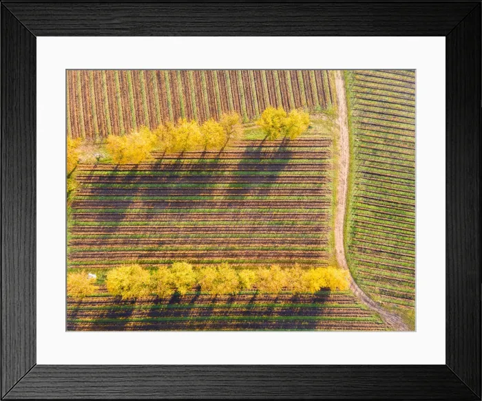 Framed Print : Aerial view of Franciacorta in autumn season, Brescia province, Lombardy district, Italy Framed Print : Aerial view of Franciacorta in autumn season, Brescia province, Lombardy district, Italy