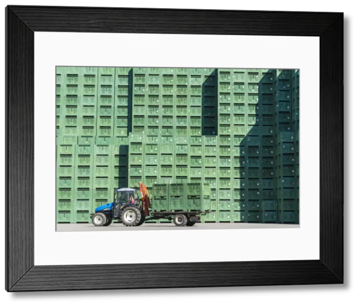 Framed Print : Crates of apples stacked in the outdoor warehouse before processing, Valtellina Framed Print : Crates of apples stacked in the outdoor warehouse before processing, Valtellina
