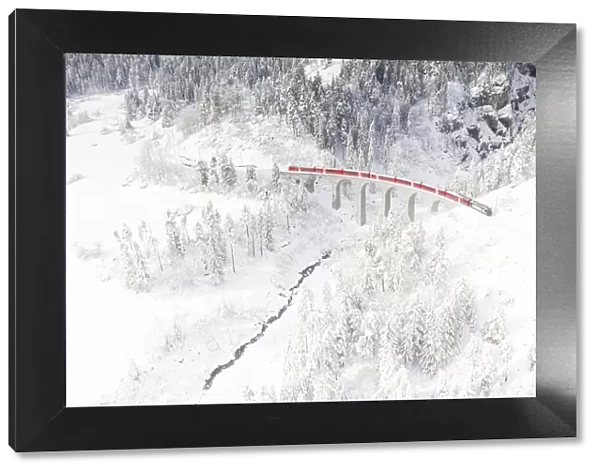 Bernina Express train on Landwasser viaduct framed by snow capped woods, Filisur