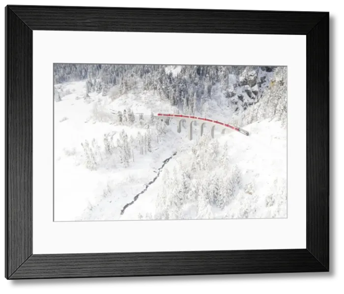 Framed Print : Bernina Express train on Landwasser viaduct framed by snow capped woods, Filisur Framed Print : Bernina Express train on Landwasser viaduct framed by snow capped woods, Filisur