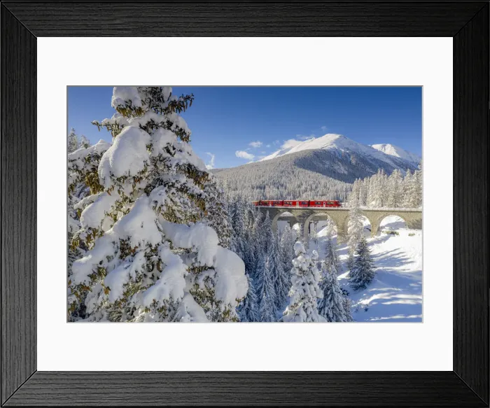 Framed Print : Trees covered with snow surrounding the red Bernina Express train in winter, Chapella Framed Print : Trees covered with snow surrounding the red Bernina Express train in winter, Chapella