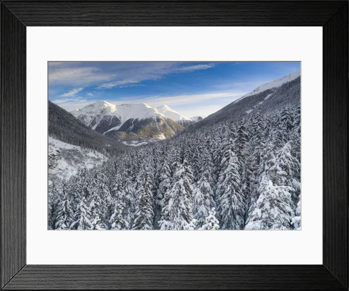 Framed Print : Trees covered with snow in the winter forest at sunrise, Zernez, canton of Graubunden Framed Print : Trees covered with snow in the winter forest at sunrise, Zernez, canton of Graubunden