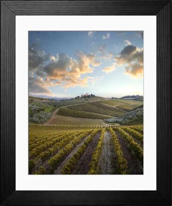 Framed Print : Tuscany countryside near Radda in Chianti, Siena province, Tuscany, Italy Framed Print : Tuscany countryside near Radda in Chianti, Siena province, Tuscany, Italy