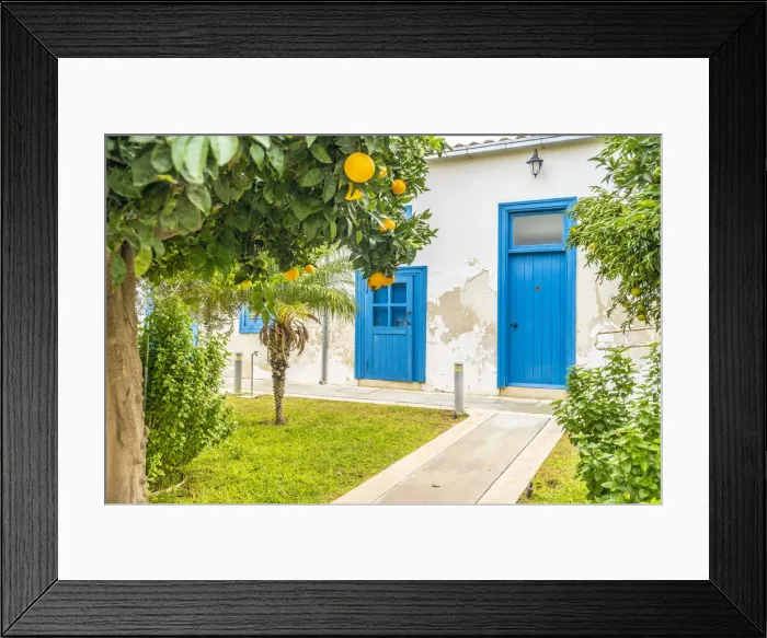 Framed Print : Orange tree at Panagia Chrysaliniotissa Church, Nicosia, Cyprus Framed Print : Orange tree at Panagia Chrysaliniotissa Church, Nicosia, Cyprus