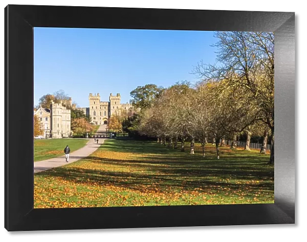 The Long Walk and Windsor Castle, Windsor Great Park, Windsor, Berkshire, United Kingdom