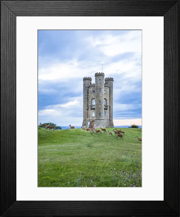 Framed Print : Broadway Tower and deer, Broadway, the Cotswolds, England, UK Framed Print : Broadway Tower and deer, Broadway, the Cotswolds, England, UK