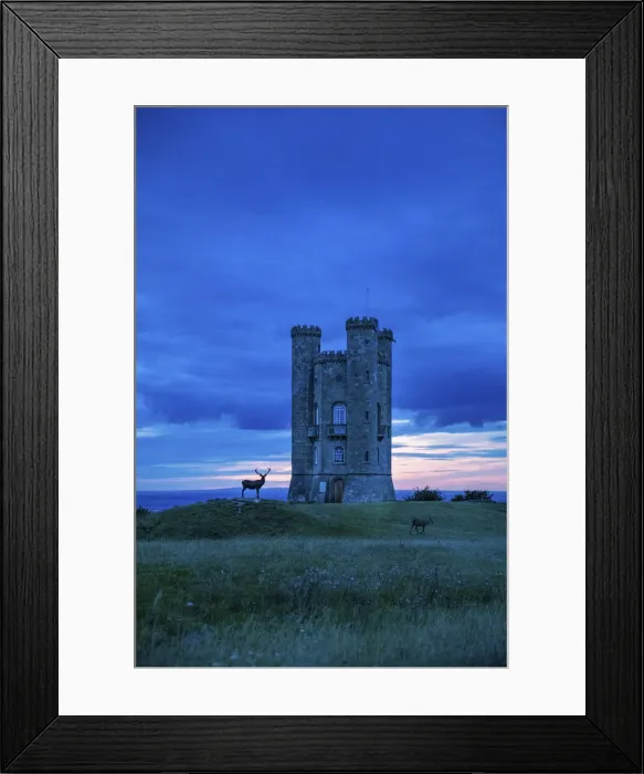 Framed Print : Broadway Tower and stag, Broadway, the Cotswolds, England, UK Framed Print : Broadway Tower and stag, Broadway, the Cotswolds, England, UK