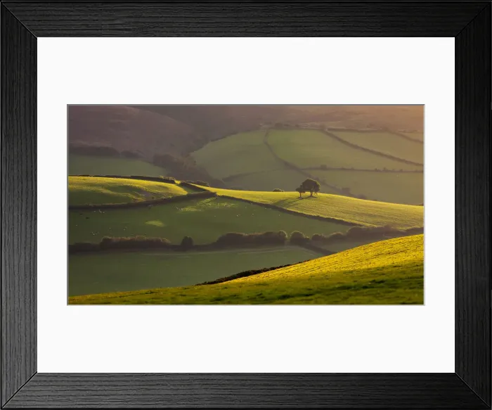 Framed Print : Beautiful rolling countryside in evening sunlight, Exmoor, Somerset, England Framed Print : Beautiful rolling countryside in evening sunlight, Exmoor, Somerset, England
