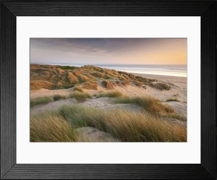 Framed Print : Evening sunshine on the dunes of Braunton Burrows, looking over Saunton Sands Beach Framed Print : Evening sunshine on the dunes of Braunton Burrows, looking over Saunton Sands Beach