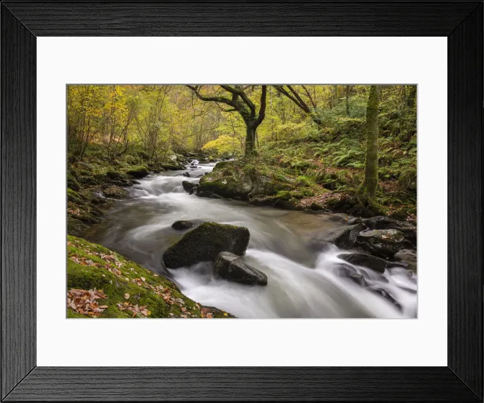 Framed Print : Autumn foliage on the banks of the fast flowing East Lyn River near Rockford