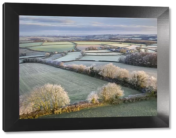 Rolling countryside at dawn on a frosty winter morning, Devon, England